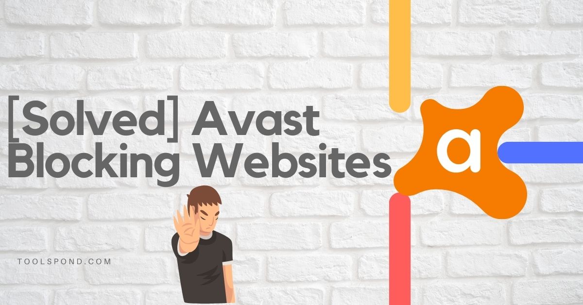 avast web shield blocking all websites