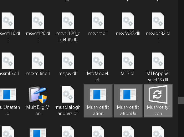 MusNotifyIcon.exe
