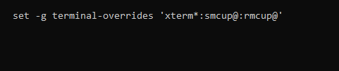 Enable native xterm- code