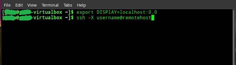 The first command sets the display environment variable, and the second connects to the remote host.