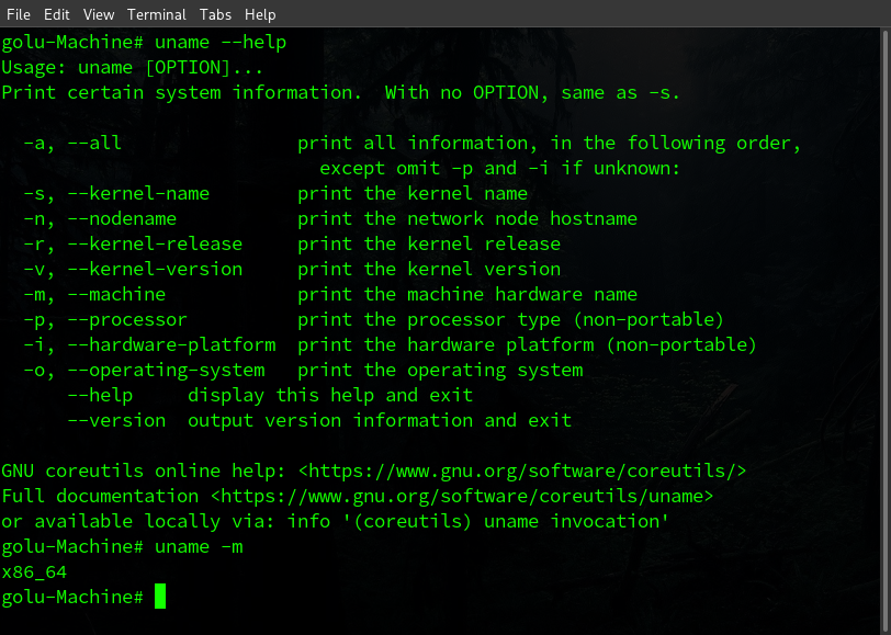 running uname utility to avoid exec format error