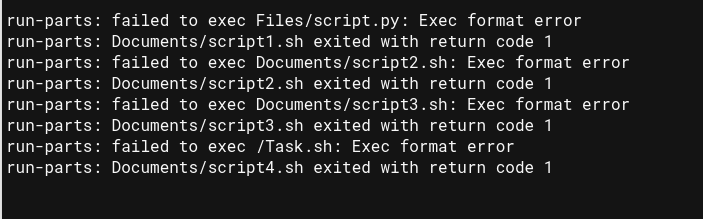 Exec format error while running bash and python scripts.