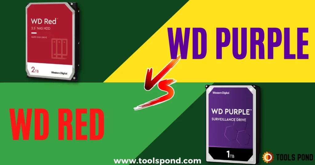 wd purple vs red