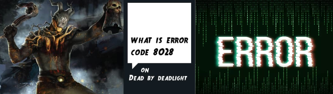 Does this dbd error code 8028 have multiple reasons for its generation while playing?